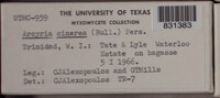Image Associated With the Occurence